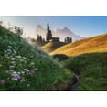 thumbnail image 3 of Krivec, Ales 14x11 Black Modern Framed Museum Art Print Titled - Flowery Morning, 3 of 5