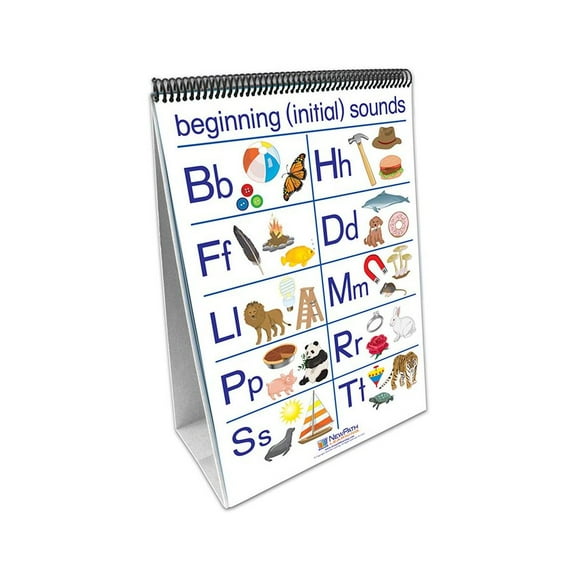 NewPath Curriculum Mastery Phonemic Awareness Flip Chart Set
