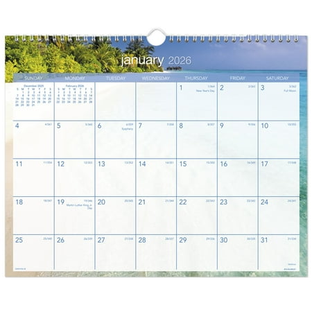 AT-A-GLANCE 2026 Tropical Escape Monthly Wall Calendar Medium 15 x 12 - Monthly