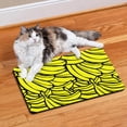 thumbnail image 2 of Pet Feeding Mat with Kawaii Apple Lover Pattern, Durable Waterproof Dog Food Mat, Absorbent, Non-Slip, Quick Dry, Washable Mat Featuring Cartoon Apple Painting and Leaves, 2 of 7