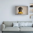 thumbnail image 2 of Heike Willers 'When Life Gives You Lemons' Canvas Art, 2 of 4