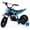 Teal, variant on Aoemoe 24V Electric Mini Dirt Bike Ride-On Toy with Training Wheels, 120W Brushless Motor, 6.2 MPH, 25.2V 2.6Ah Li-Ion Battery, Dual Drum Brakes, Steel Frame, Outdoor Ride-On Vehicle, Teal