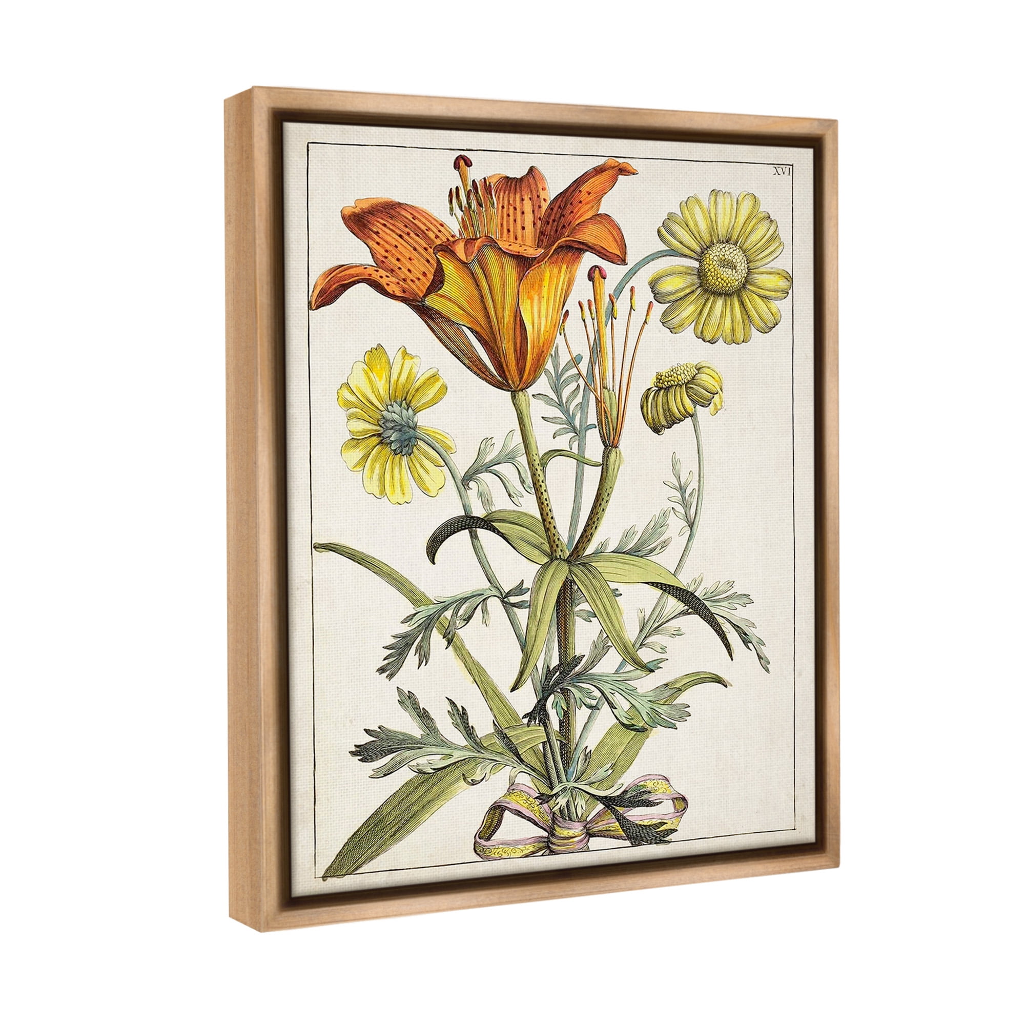 Stupell Industries Flowers Latin Study Botanical & Floral Painting Brown Floater Framed Canvas Art Print Wall Art, 25 x 31