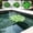 3Pcs Artificial Floating Water Lilies Under $5 a1, variant on Vacemry Artificial Floating Water Lilies For Pool, Realistic Faux Lily Pads Pond Decorations, Fake Lotus Leaves Plastic Plants For Koi Ponds Garden Water Features Outdoor Decor