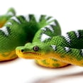 thumbnail image 5 of Safari Ltd. Emerald Tree Boa Figurine - Lifelike 7.25" Plastic Snake Model - Educational Toy for Boys, Girls & Kids Ages 3+, 5 of 7