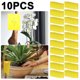 thumbnail image 1 of 20 Tablero Amarillo Trampa Insectos Doble Cara para Pequeños Insectos Voladores Y Moscas La Abejas Aguja Tablero Azul Trips Invernadero Huerto, 1 of 8