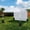 White With Side Wall 10*10ft, variant on Panapinka Pop Up Canopy Tent 10x10ft, Waterproof Outdoor Gazebo, Commercial Grade Shelter for Camping, Patio, Backyard, Parties and Events