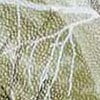 Realtree