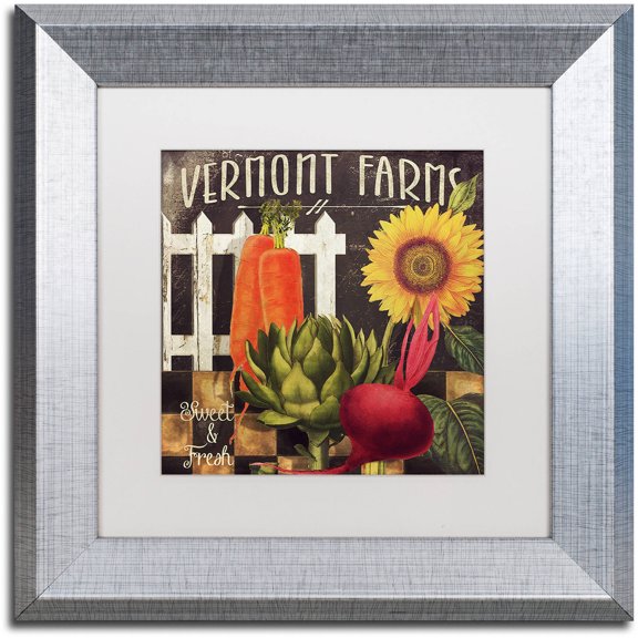 Trademark Fine Art "Vermont Farms VIII" Canvas Art by Color Bakery White Matte, Silver Frame