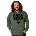 thumbnail image 2 of Papa Bear Dad Father's Day Pawprint Men's Big & Tall Graphic Hoodie Brisco Brands 4X, 2 of 3