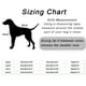 thumbnail image 3 of Teissuly Harnesse And Leash Soft Mesh Vest with Reflective Strap Metal for Small and Medium Dogs Teissuly WER202311213992, 3 of 3
