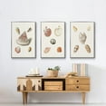 thumbnail image 6 of Pastel Knorr Shells VI - Framed Premium Gallery Wrapped Canvas L Frame 3 Piece Set - Ready to Hang, 6 of 9