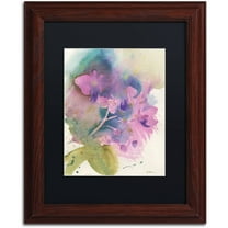 Trademark Fine Art "Orchid Dream" Canvas Art by Sheila Golden Black Matte, Wood Frame