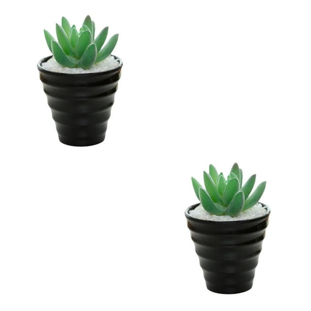 Naiovety Bonsái Artificial paisaje interior simulación decorativa suculenta miniatura Mini plantas adornos de arreglo de escritorio Tipo 1 2piezas