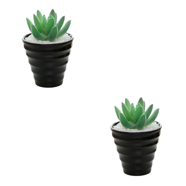 Naiovety Bonsái Artificial paisaje interior simulación decorativa suculenta miniatura Mini plantas adornos de arreglo de escritorio Tipo 1 2piezas