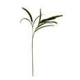 thumbnail image 3 of (3 pack) Mainstays 36" Artificial Green Dogtail Stem, Set of 12, Indoor Use, 3 of 9