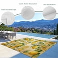 thumbnail image 3 of Lemon Outdoor Rug for Patio/Deck/Porch, Non-Slip Large Area Rug 5 x 8 Ft, Farmhouse Vintage Summer Retro Fruits Yellow Brown Indoor Outdoor Rugs Washable Area Rugs, Camping Rug Carpet Runner, 3 of 8
