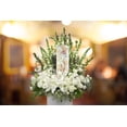 thumbnail image 2 of White Roses Biodegradable & Eco Friendly Burial or Scattering Urn / Tube, 2 of 11