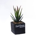 thumbnail image 3 of Coofit Artificial Succulent Mini Plastic Decorative Artificial Plant Fake Plant, 3 of 6