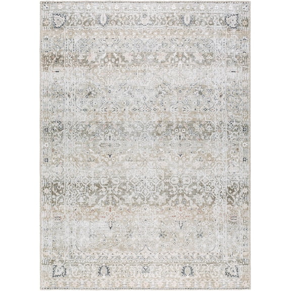 BoutiqueRugs Rainier Traditional Area Rug - Machine Washable - Light Brown, Tan - 10' x 14'