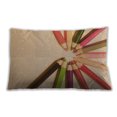 thumbnail image 1 of Ahgly Company Indoor Rectangular Contemporary Lumbar Throw Pillow, 13 inch by 19 inch, 1 of 5