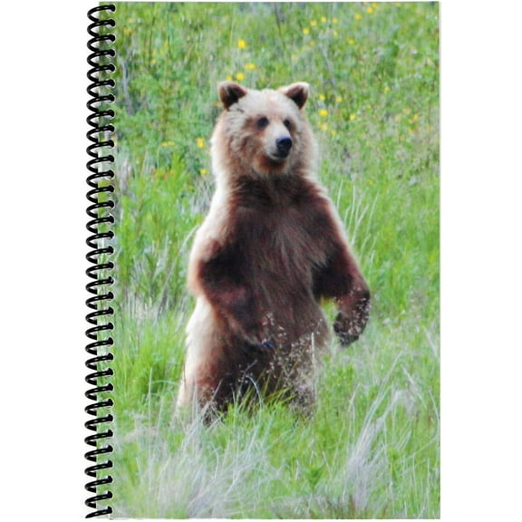 The Superior Register Bear Check and Debit Card Register, Simple Account Tracker & Financial Ledger - Standard Edition (1 Pack)