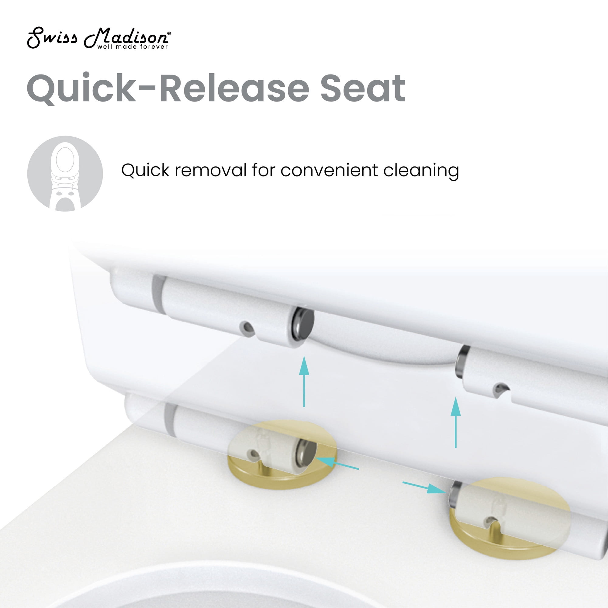 Sublime One Piece Elongated Toilet Dual Flush, Brushed Gold Hardware 1.1/1.6 gpf