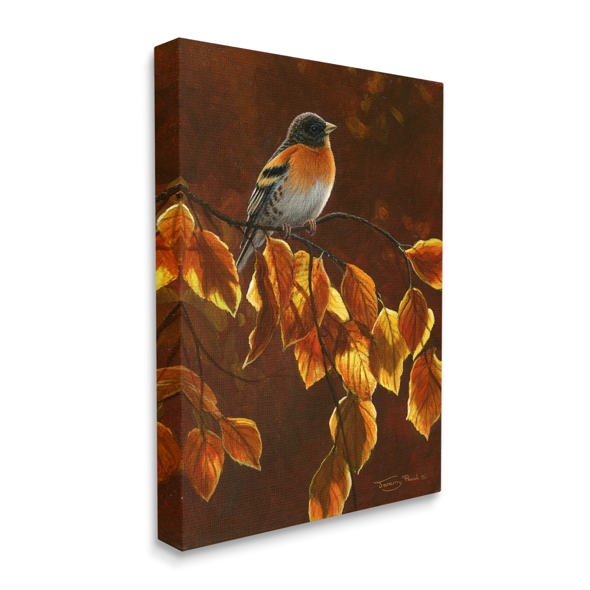 Stupell Industries Bird Brown Sunlit Foliage Animals & Insects Painting Gallery Wrapped Canvas Print Wall Art