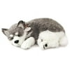 Original Petzzz Alaskan Husky, Realistic, Lifelike Stuffed Interactive Pet Toy, Companion Pet Dog with 100% Handcrafted Synthetic Fur – Perfect Petzzz