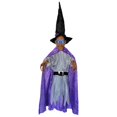 thumbnail image 1 of 6.6FT Hanging Witch Halloween Decorations Outdoor, Animated Talking Witches with Color-Changing LED Eyes & Scary Sounds, Touch & Sound Sensor Halloween Decor for Yard Porch Haunted House, 1 of 8