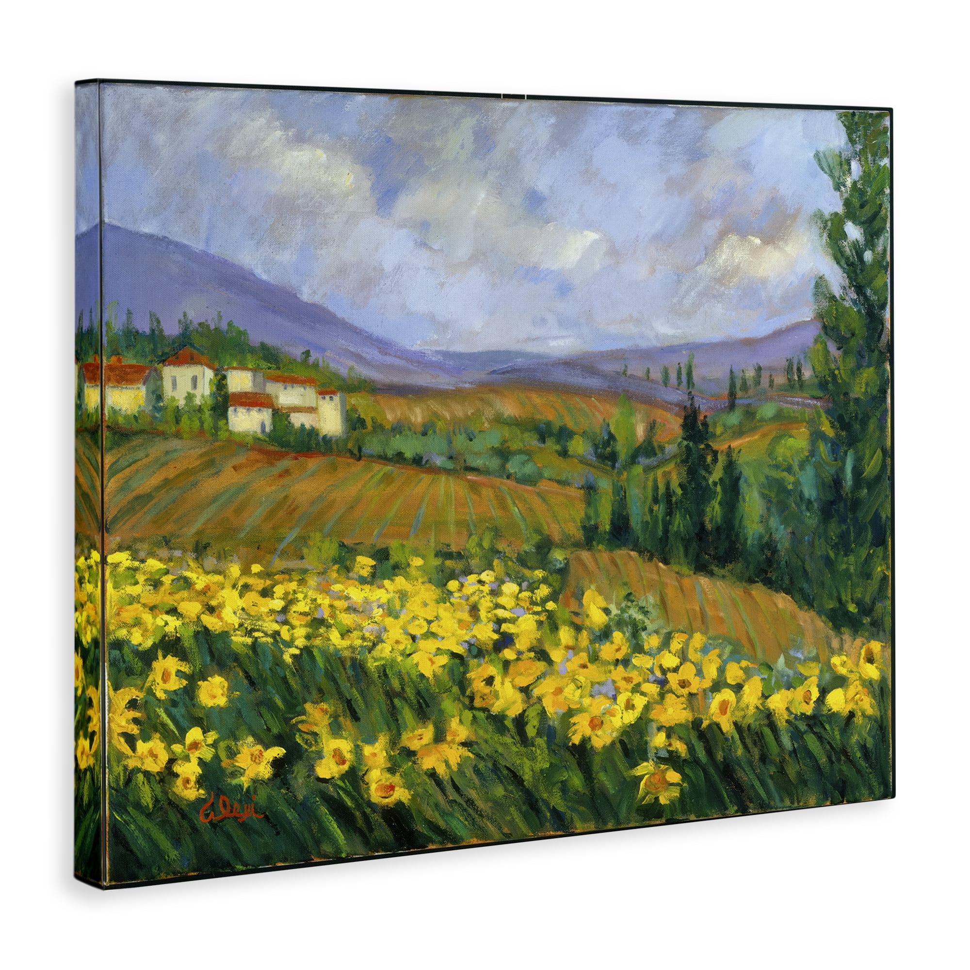 Stupell Industries Daffodil Field by Farm Landscape & Nature Painting Wrapped Canvas Art Print Wall Art, 30 x 24