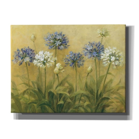 Epic Graffiti 'Agapanthus' by Danhui Nai Canvas Wall Art, 34" x 26"