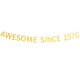 thumbnail image 1 of Impresionante Desde 1976 Banner Preencordado Feliz 48 Cumpleaños Banner Dorado Brillante 48 Cuarenta Y Ocho Años Decoraciones De Fiesta De Cumpleaños Para Hombres Y Mujeres, 1 of 5