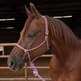 thumbnail image 4 of Professionals Choice Easy On Rope Halter Red Horse, 4 of 4