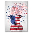thumbnail image 1 of Awkward Styles USA Flag Canvas with Pitbull Wall Decoration 4th of July Fireworks Canvas Dog Lovers Patriotic Gifts American Flag Wall Art Pitbull Art Home Gifts, 1 of 5
