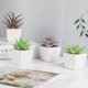 thumbnail image 5 of imitación verdes surtidas en macetas, pequeñas plantas suculentas artificiales con maceta de madera para el hogar, oficina, sala de estar, mesa, escritorio, decoración de plantas, juego de 4, 5 of 5