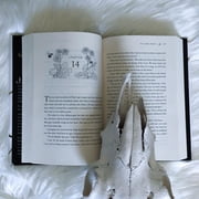 The Cruel Prince (Paperback)