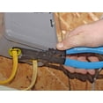 thumbnail image 2 of 12PT LOCKNUT PL, 2 of 3