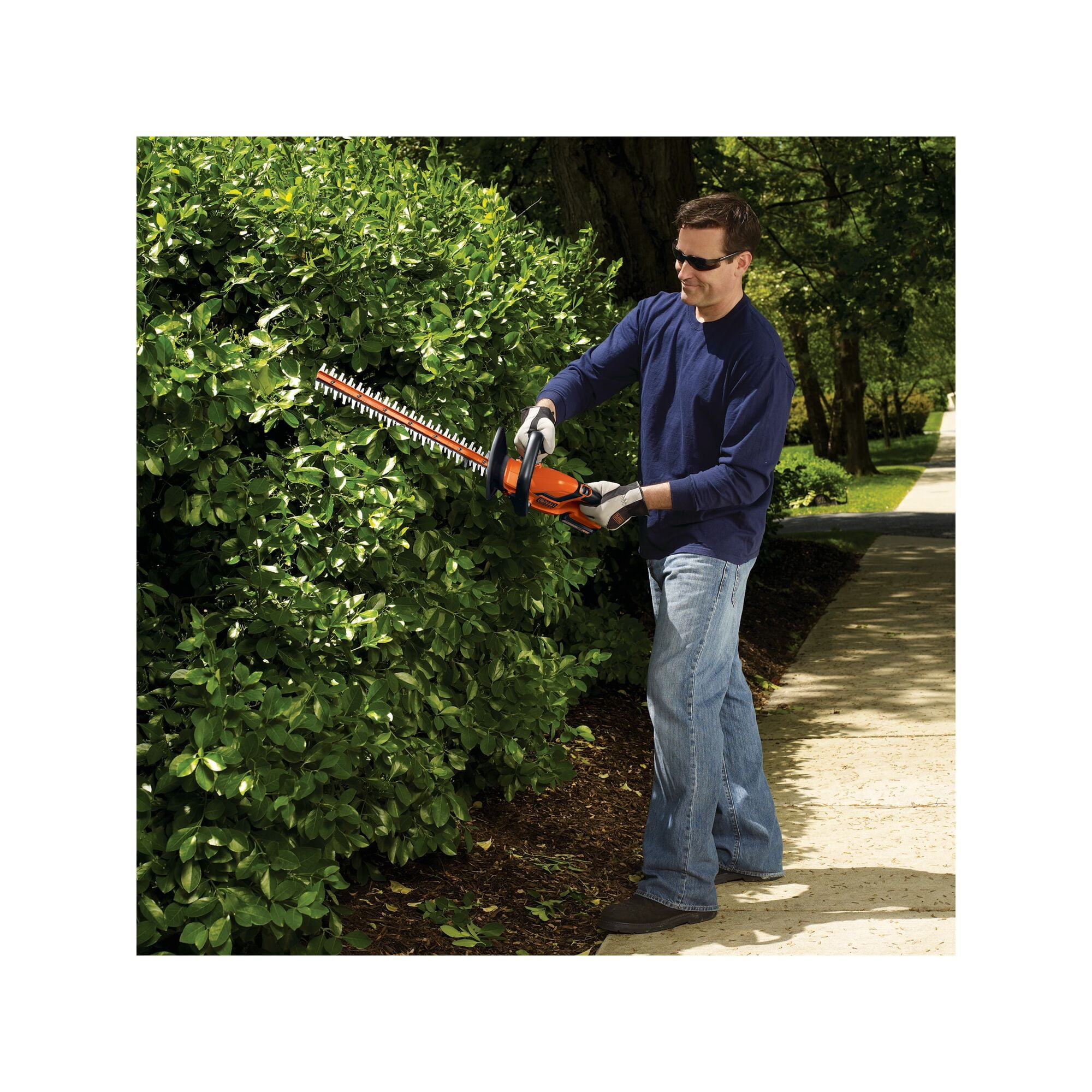 BLACK DECKER LHT2220 20V MAX Cordless Lithium 22 in. Hedge