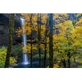 thumbnail image 2 of Jaynes Gallery 24x17 Black Ornate Wood Framed with Double Matting Museum Art Print Titled - USA-Oregon-Silver Falls State Park Tall waterfall and forest in autumn, 2 of 4