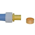 thumbnail image 5 of 1/2"AX1/2"POLY COUPLING, 5 of 7
