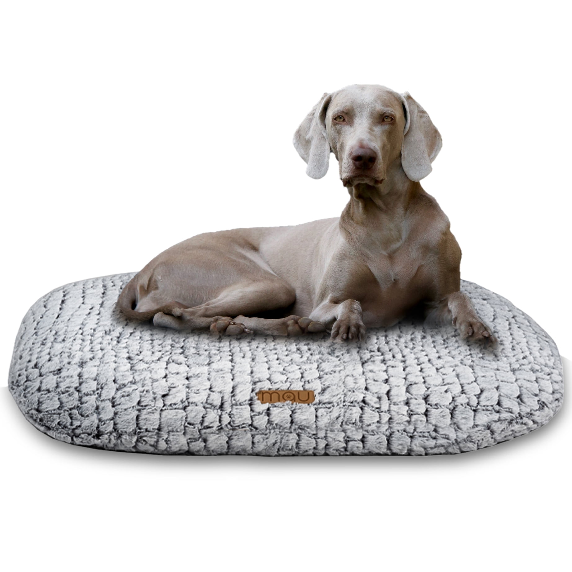 Croc Oval Cushion Dog Bed Small/Medium Light Gray
