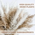thumbnail image 6 of Pampas Grass Decor dreid Flowers Fluffy pompas Grass vase Filler White Pampas Wedding Boho deocr, 6 of 6