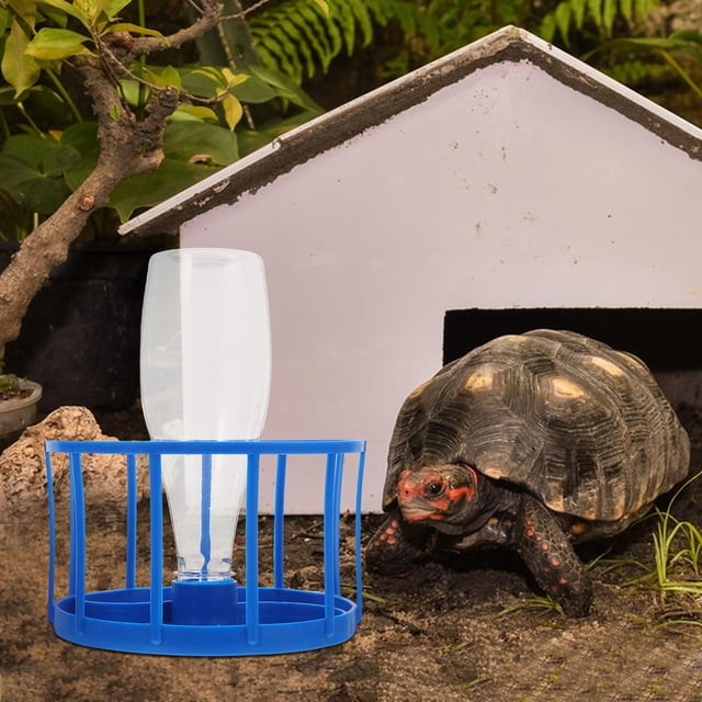 WEUVEB Plato Automático Para De Reptiles Con Capacidad Amplia Y Prevención De Azul