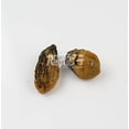 thumbnail image 2 of XLSEAFOOD AAA Grade Sun Dried Hiroshima Oyster from Japan 美国旭龙行 特级日本广岛传统蚝豉蠔豉 (#120-8oz), 2 of 5