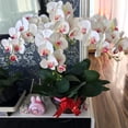 thumbnail image 3 of 9 Heads Artificial Phalaenopsis Flowers Artificial Orchid Flowers 4 inch Stem Plants for Home Décor (Purple), 3 of 5