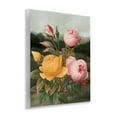 thumbnail image 4 of Stupell Industries Vintage Peony Blooms Botanical & Floral Painting Unframed Art Print Wall Art, 11 x 14, 4 of 8