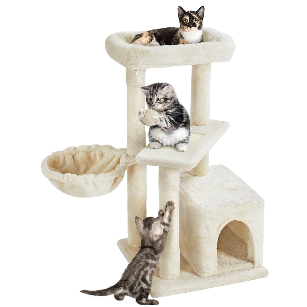 cat perches at walmart