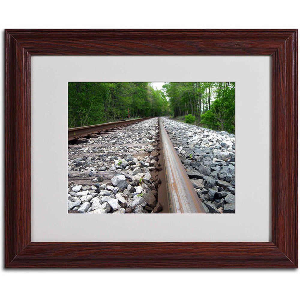 Trademark Fine Art "Guided Journey" Canvas Art by Monica Fleet, Wood Frame