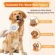 thumbnail image 5 of Pet Comb Stainless Steel Needle Massage Cleaning Needle Comb Hair Removal Brush Portable One Click Self Cleaning Comb Grooming Tools, 5 of 6